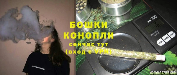 spice Лагань