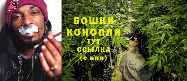 spice Лагань