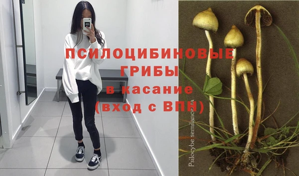 СК Кулебаки