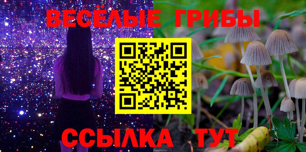 Псилоцибиновые грибы Psilocybe Нефтекумск
